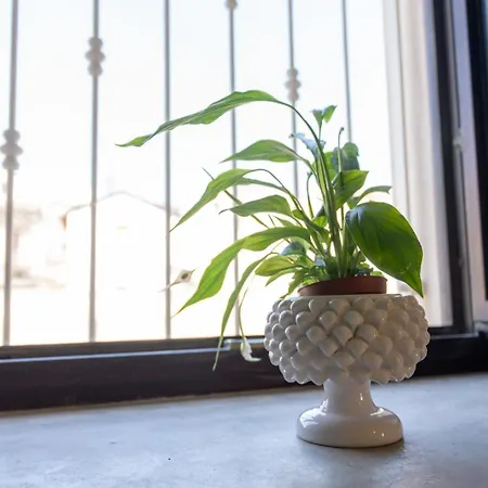 Appartamento Paolino And *